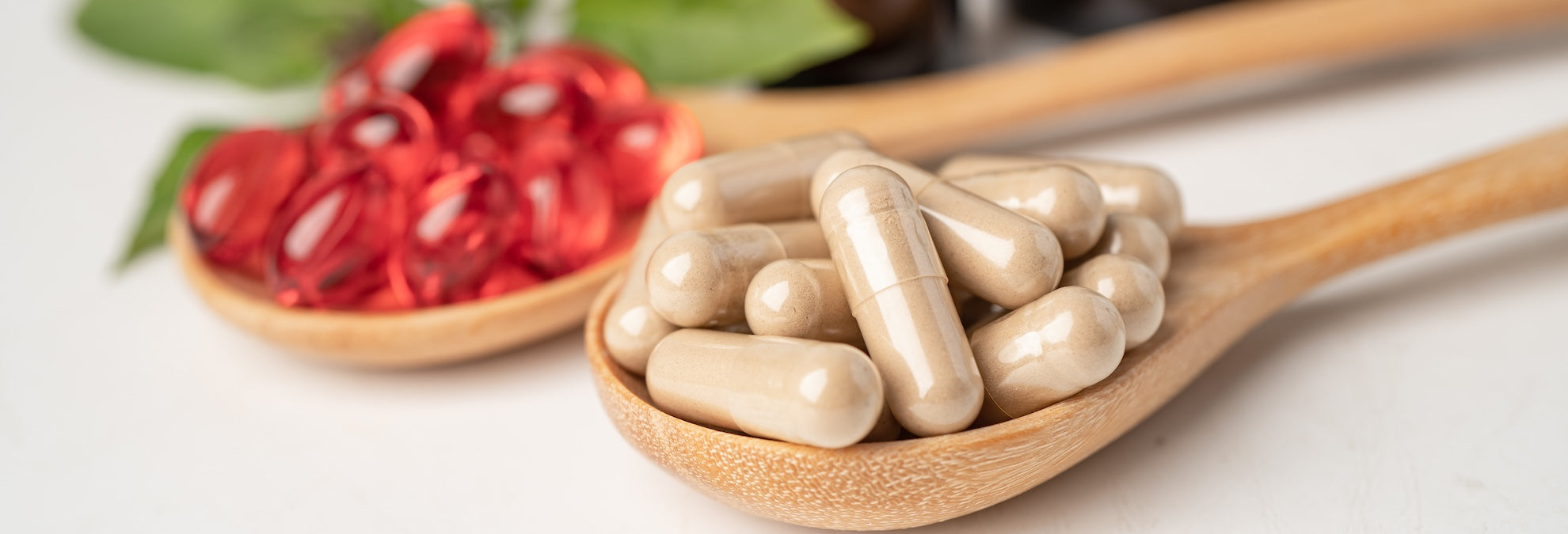 What to Look for in a Gut-Health Supplement (That Actually Works)