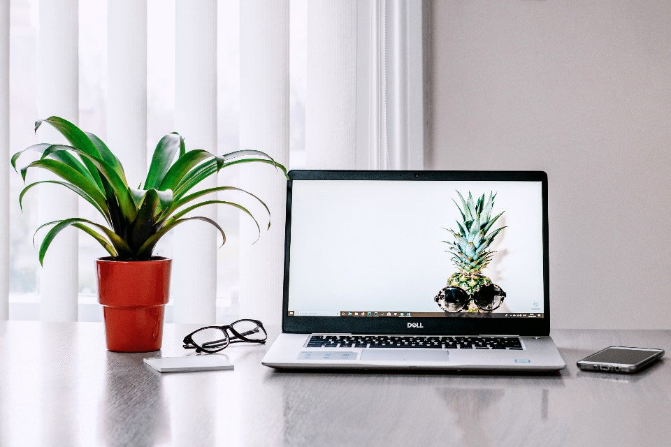 Laptop, glasses, phone, and houseplant arranged on a calm home study desk