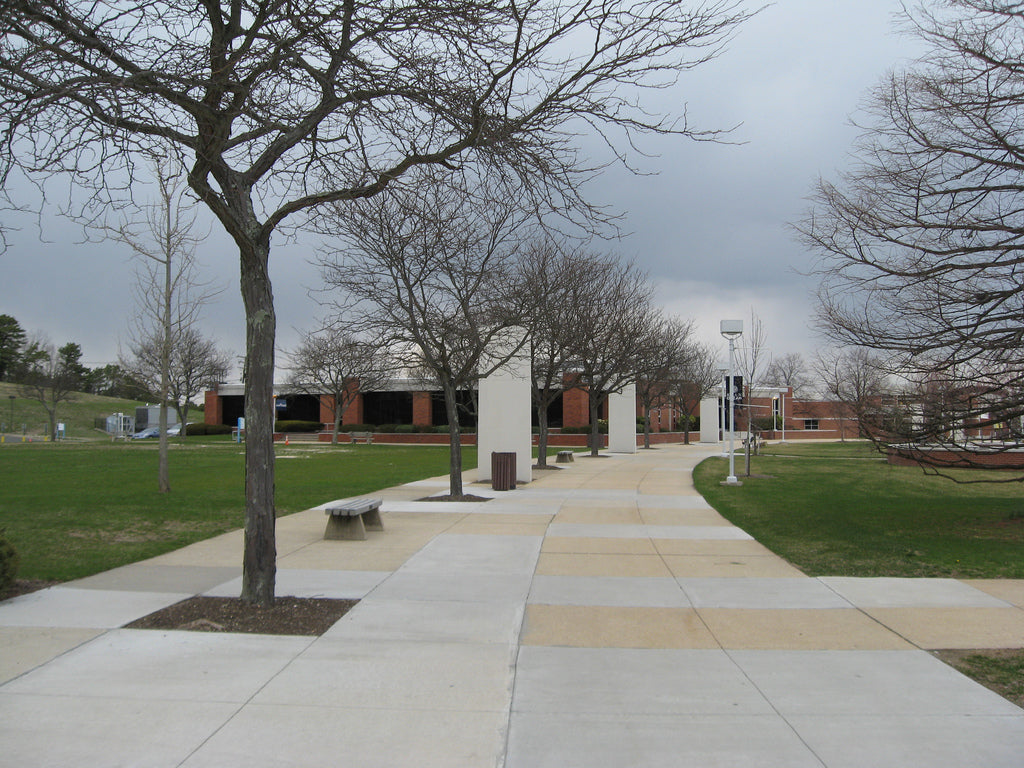 Wide campus walkway curving past lawns, benches, mature trees, and red-brick college buildings