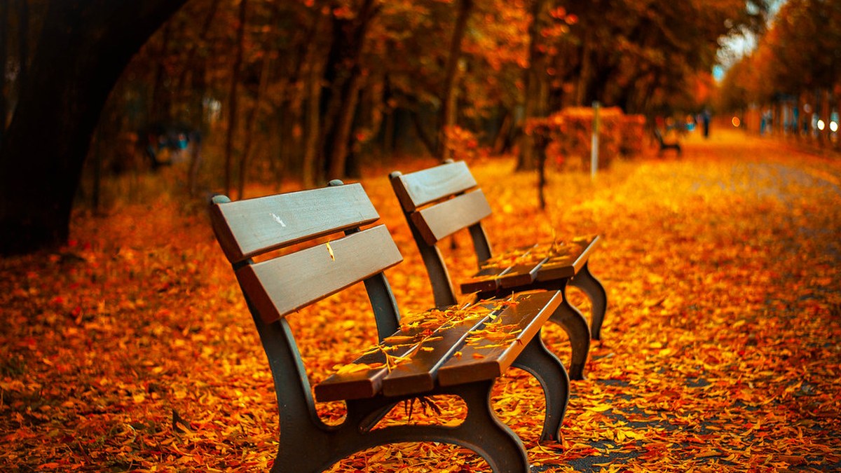 Two park benches on a leaf-covered autumn path in warm afternoon light