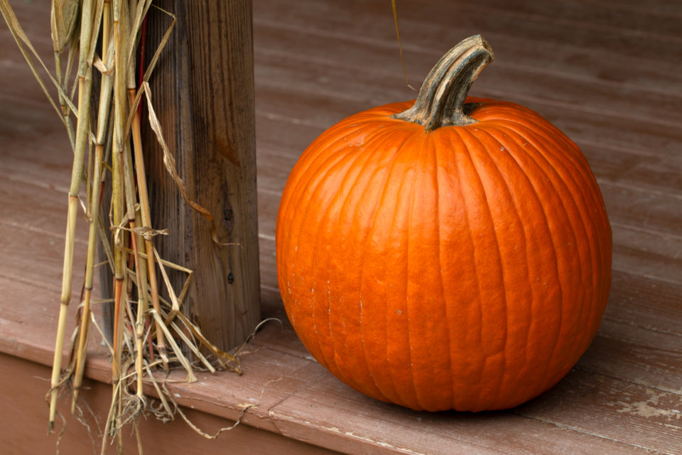 A single pumpkin resting on a wooden porch step next to dried autumn stalks