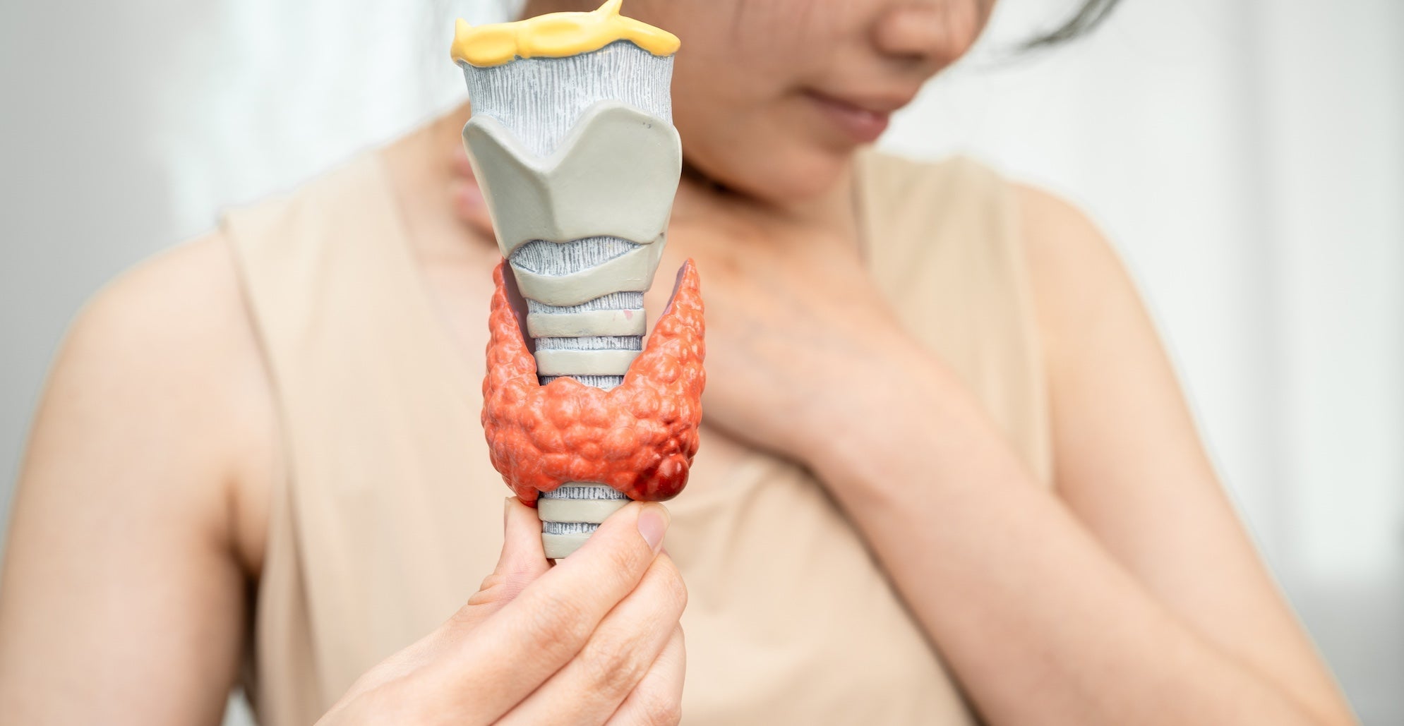 Hypothyroidism vs. Hashimoto’s — What’s the Difference and Why It Matters