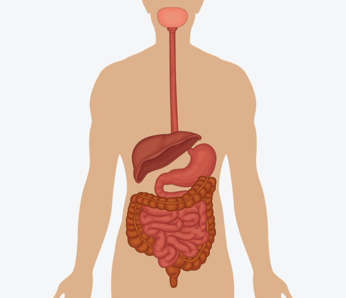 What is IBD?