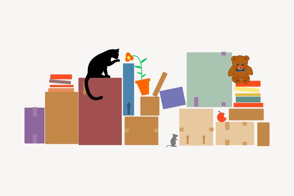 Colorful moving boxes, books, a plant, and a cat arranged for packing day