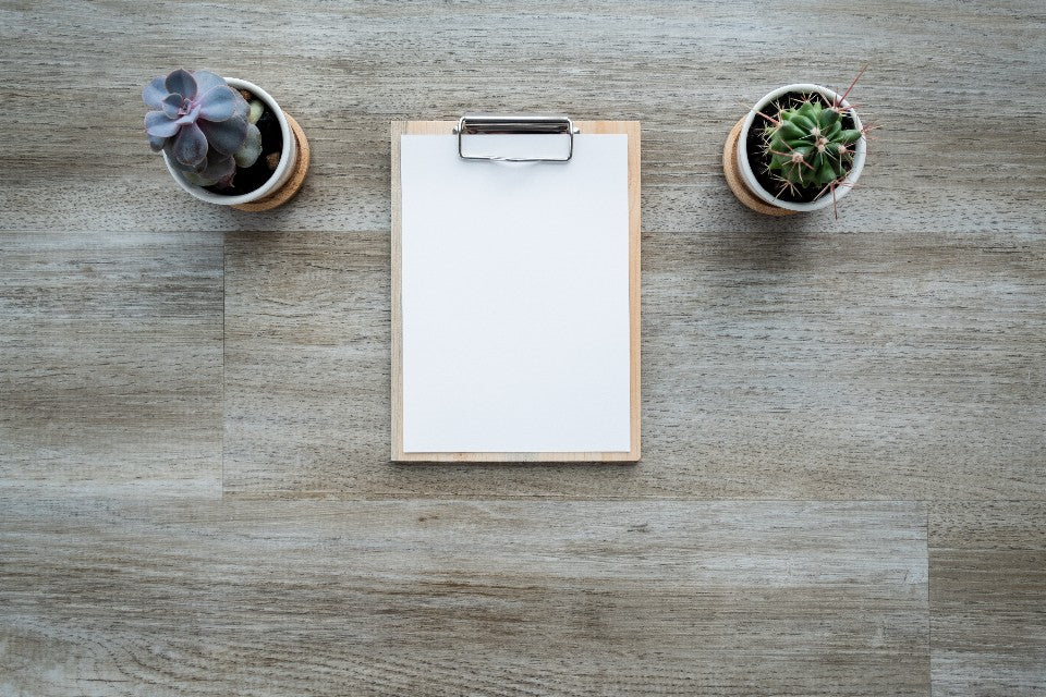 Blank sheet on a wooden clipboard between two small plants on a desk