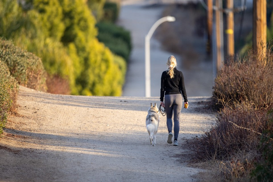Person walking a dog on a quiet path in warm evening light