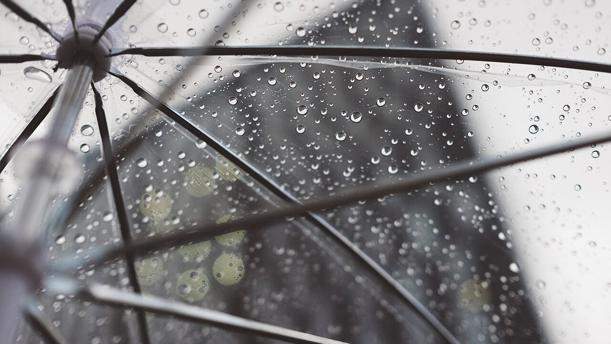 Person holding a clear umbrella on a rainy city street