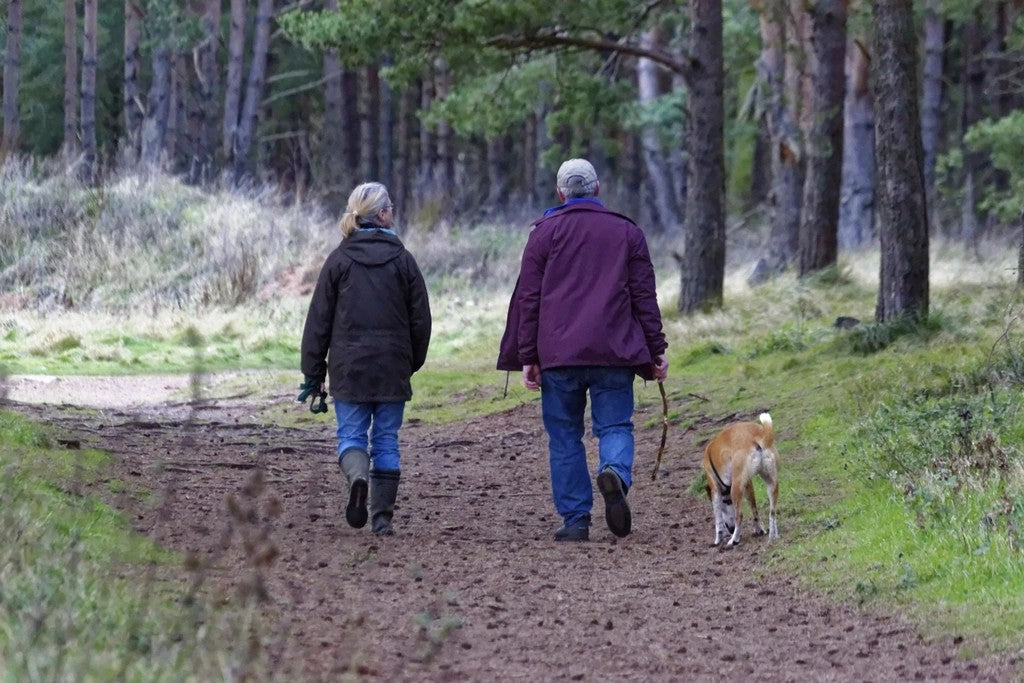 Two people taking a slow walk on a quiet wooded path with a dog